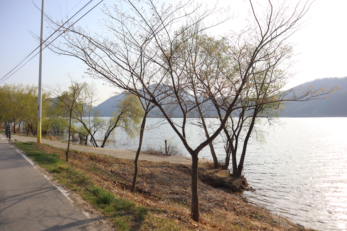 춘천 의암호수 수변길(산책로)