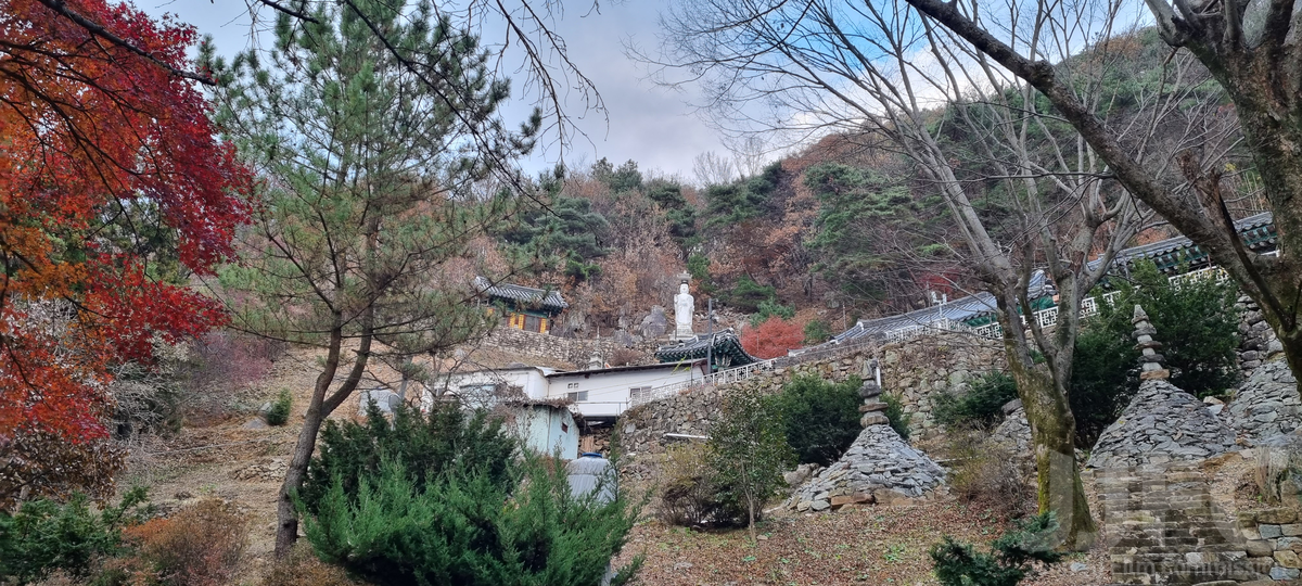 전주 동고사
