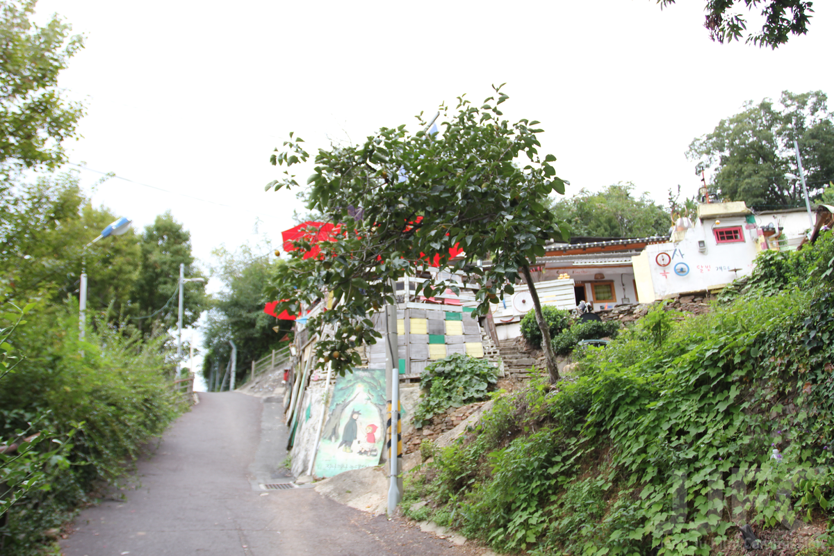 전주 자만벽화마을