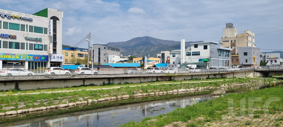 고창군 천변남로 일대