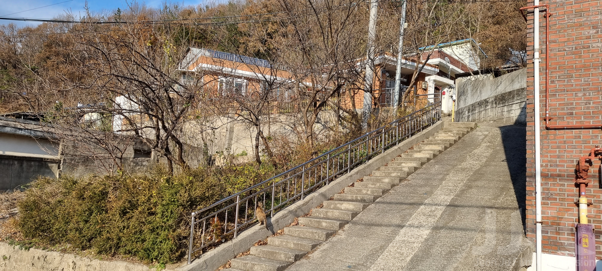 낙수정 1길 일대