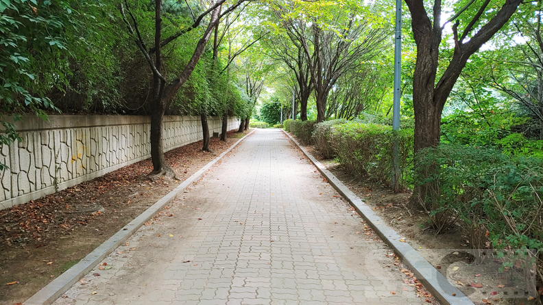 몽마르뜨공원