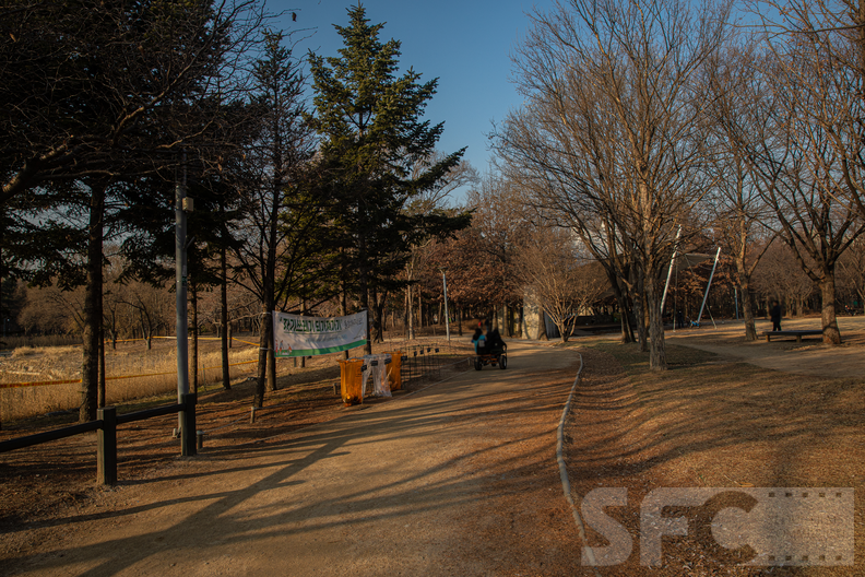 서울숲