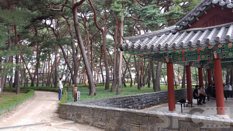 솔밭공원