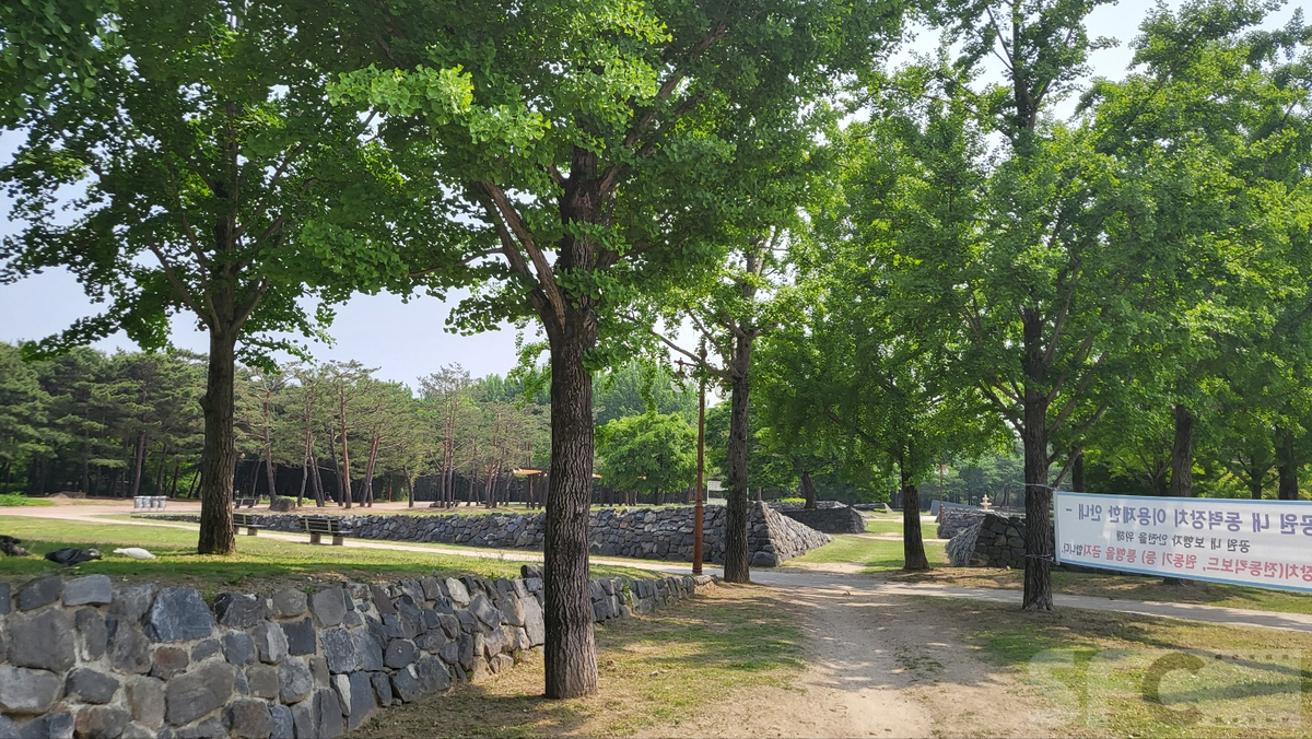 평화의 공원