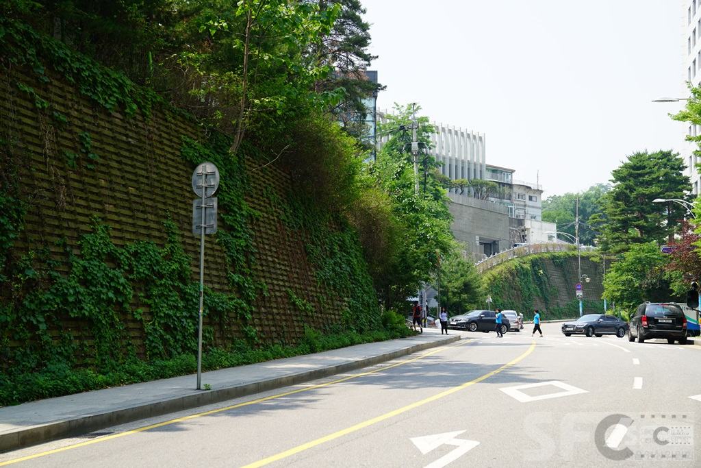 사직동 옹벽길