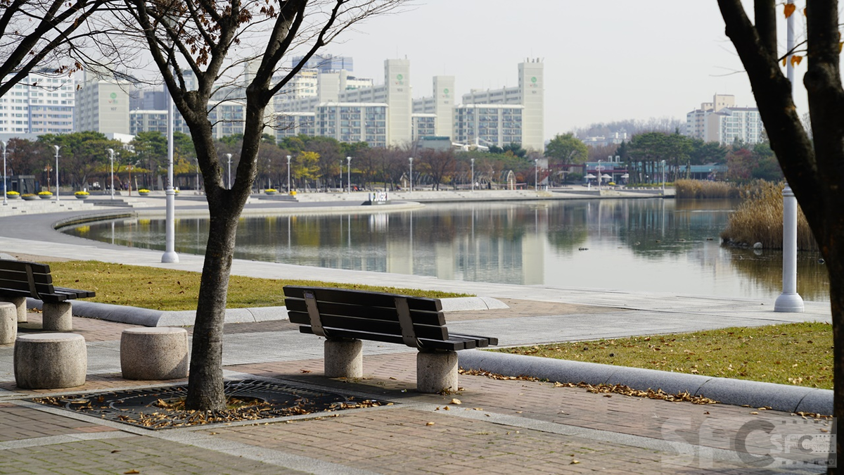 평화의공원(가을)