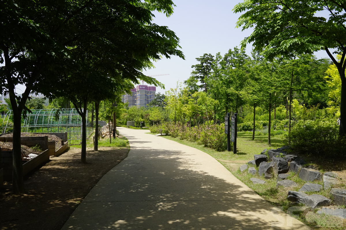 항동푸른수목원