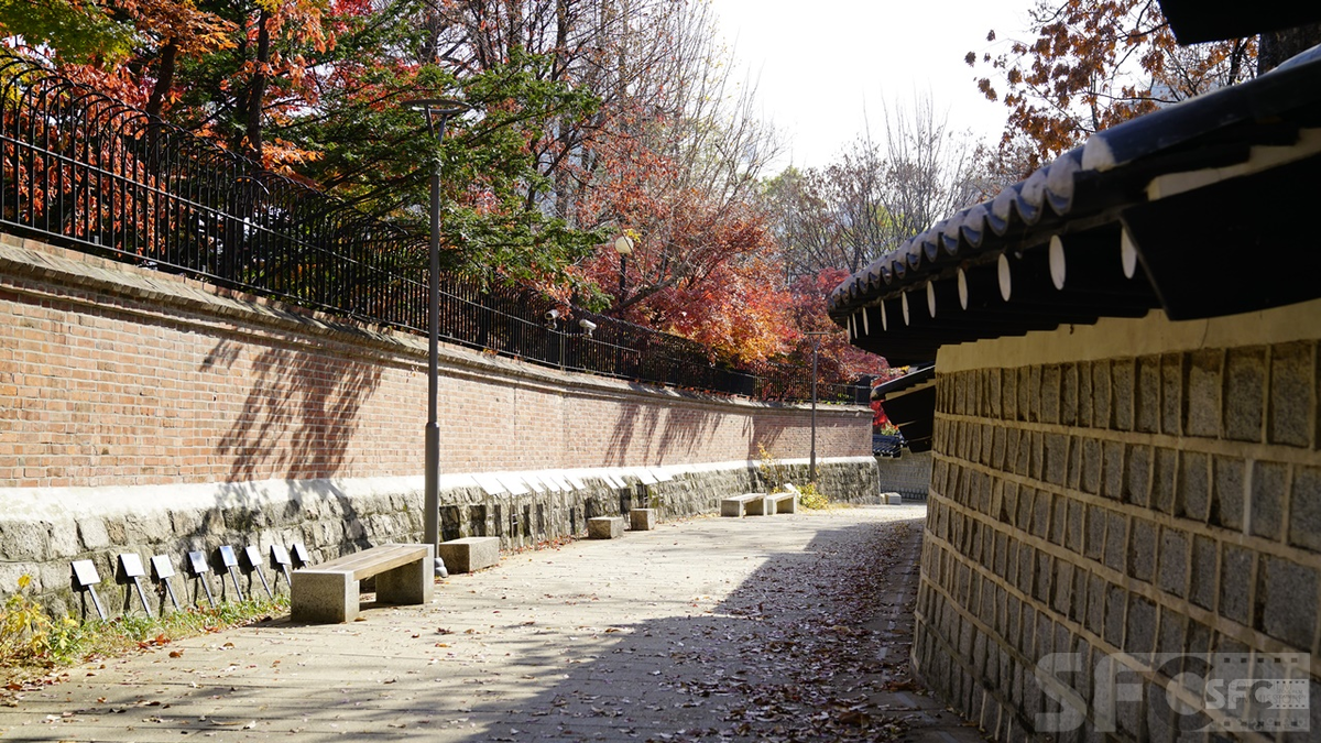 덕수궁 돌담길(가을)