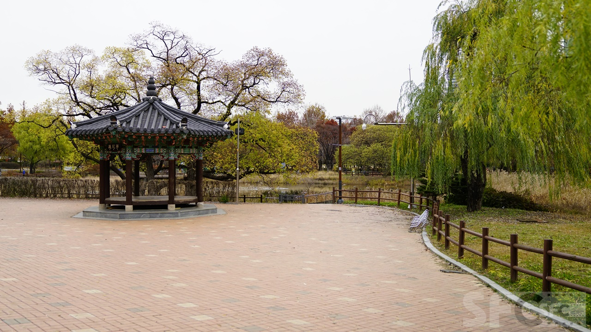 보라매공원(가을)