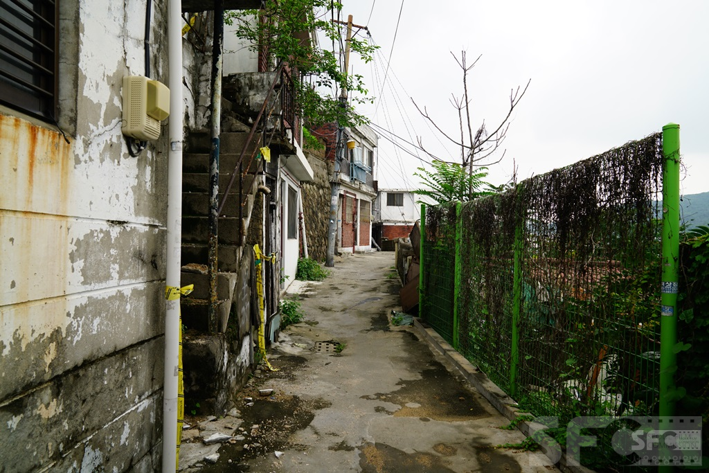 보광동