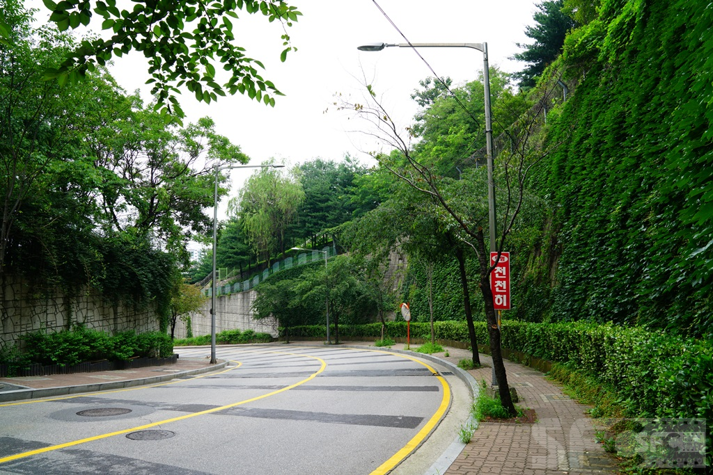 남산타운아파트 뒷길