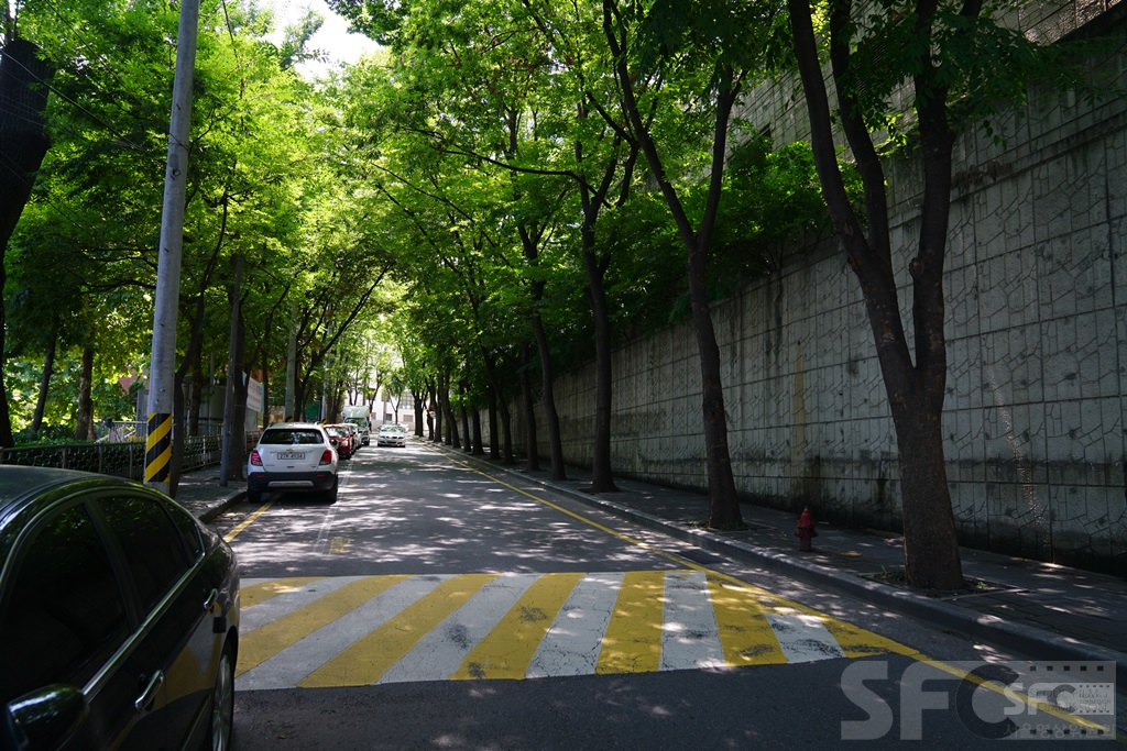 아차산로 가로수길