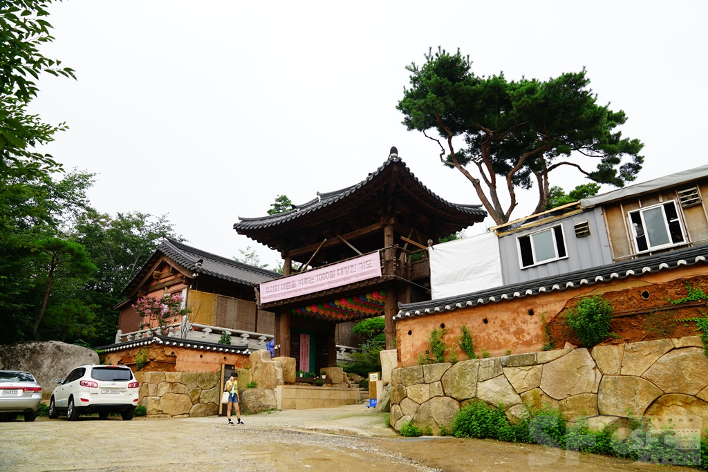 달마사