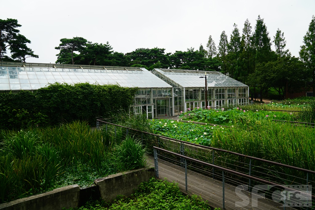 선유도공원