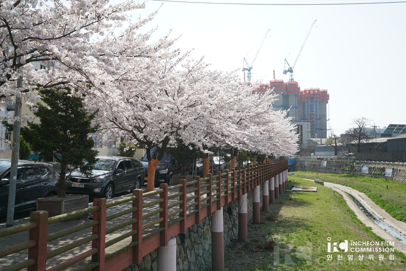 용현동 산책로