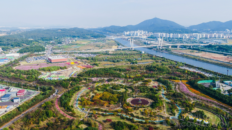 드림파크 야생화단지