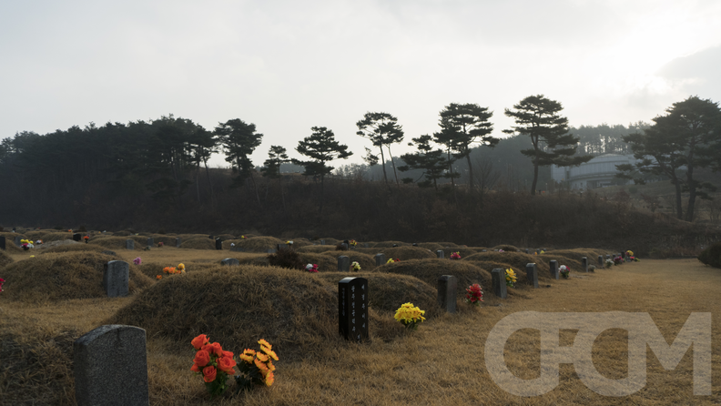 매화공원묘지
