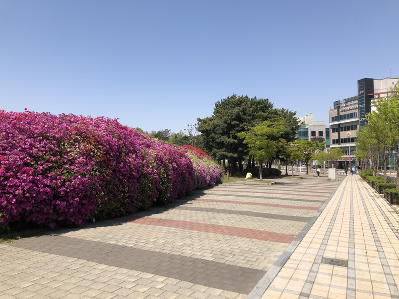 오창호수공원