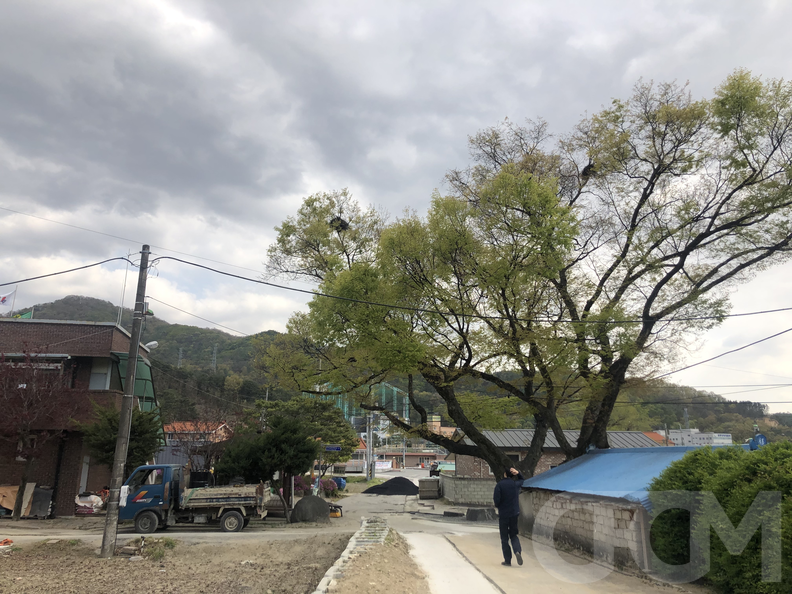 월오동 마을