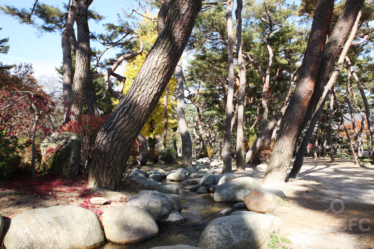 의림지솔밭공원
