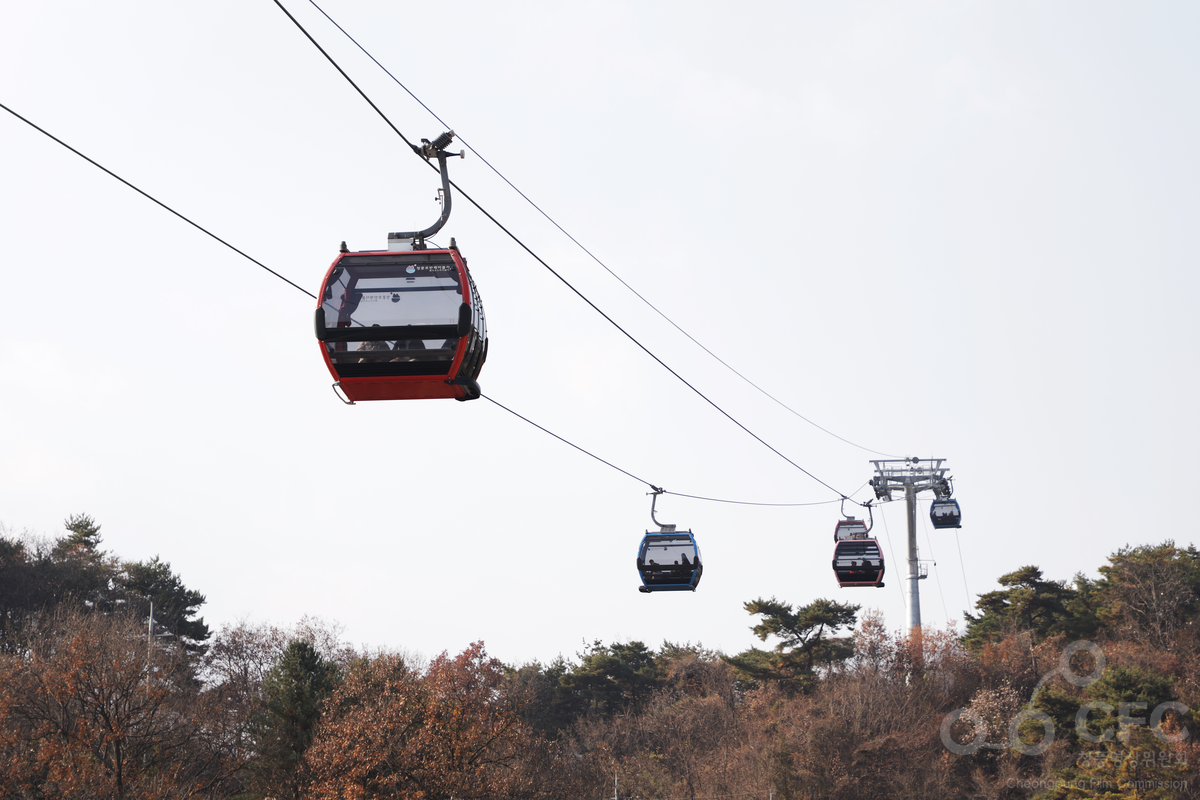 청풍호반케이블카