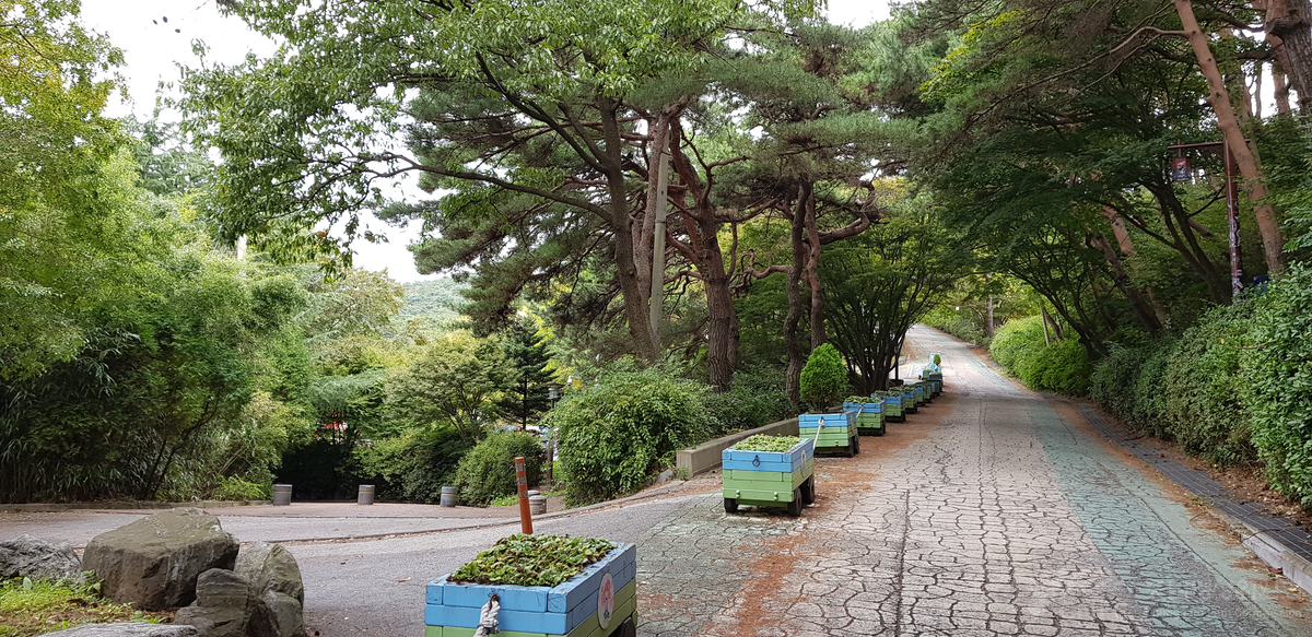 부춘산 체육공원