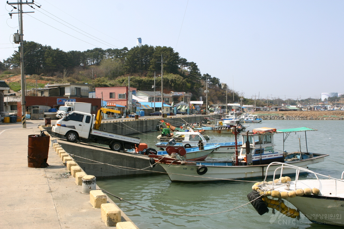 마량포구