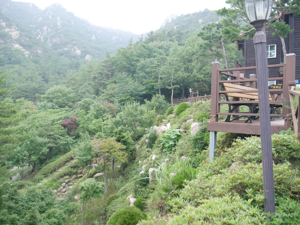 용봉산 자연휴양림