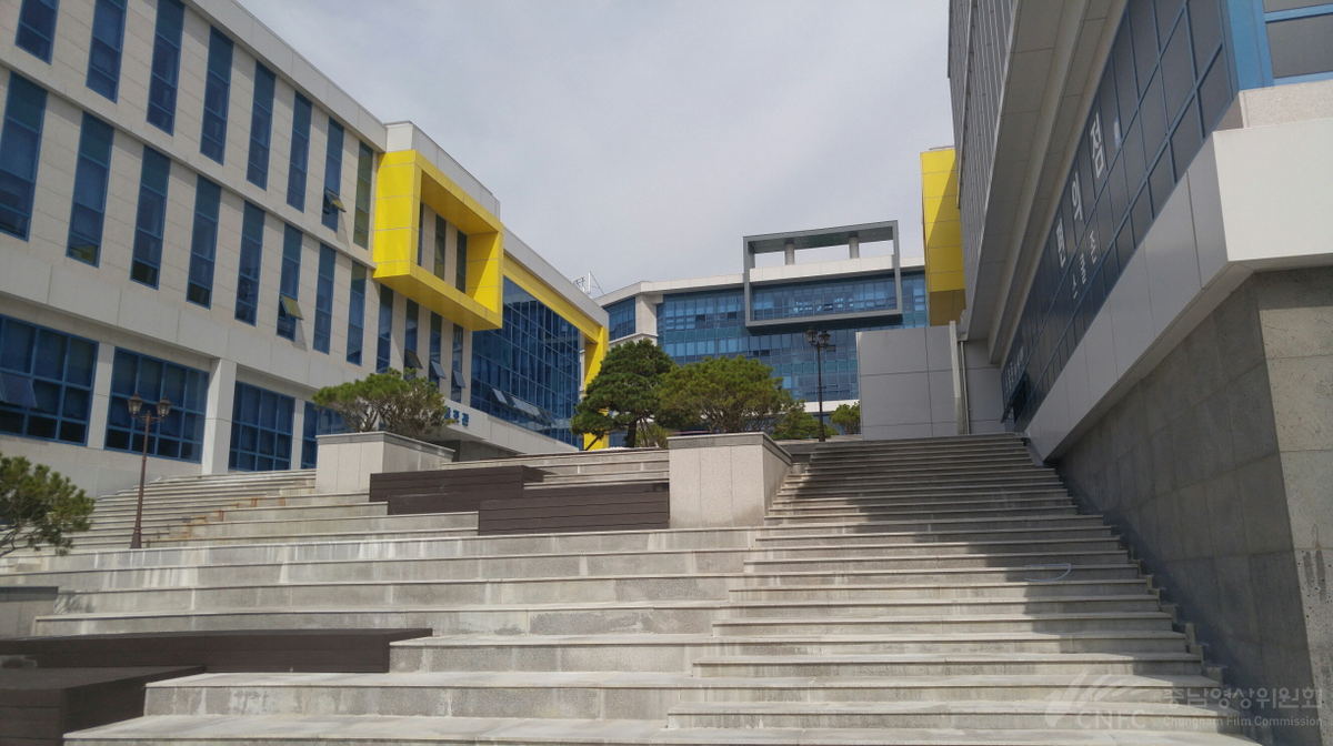 유원대학교