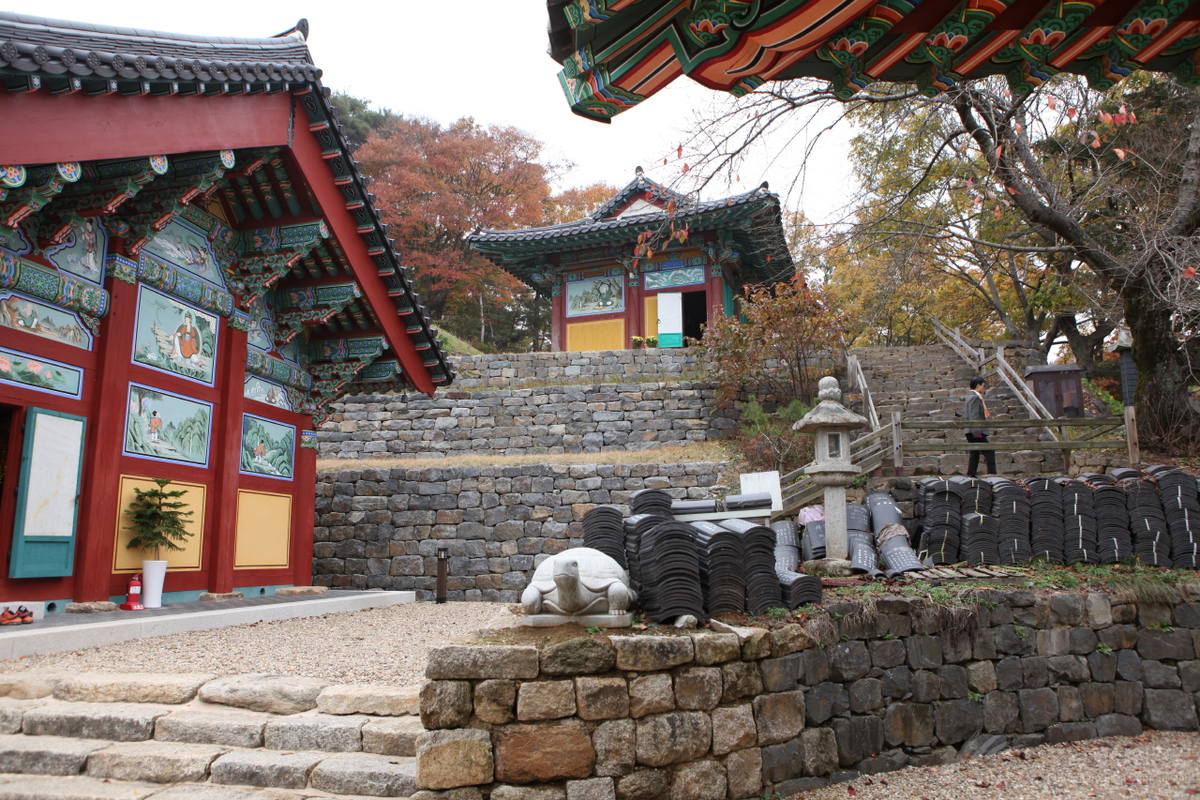 대조사