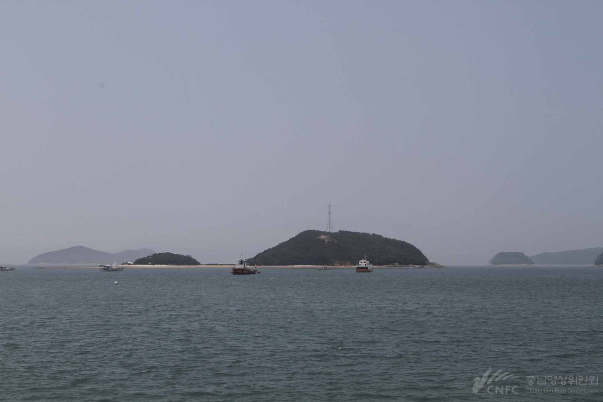 도비도