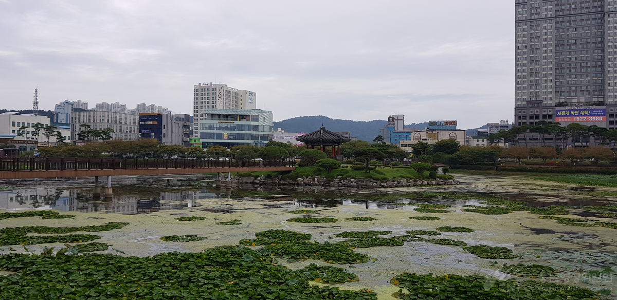 서산중앙호수공원