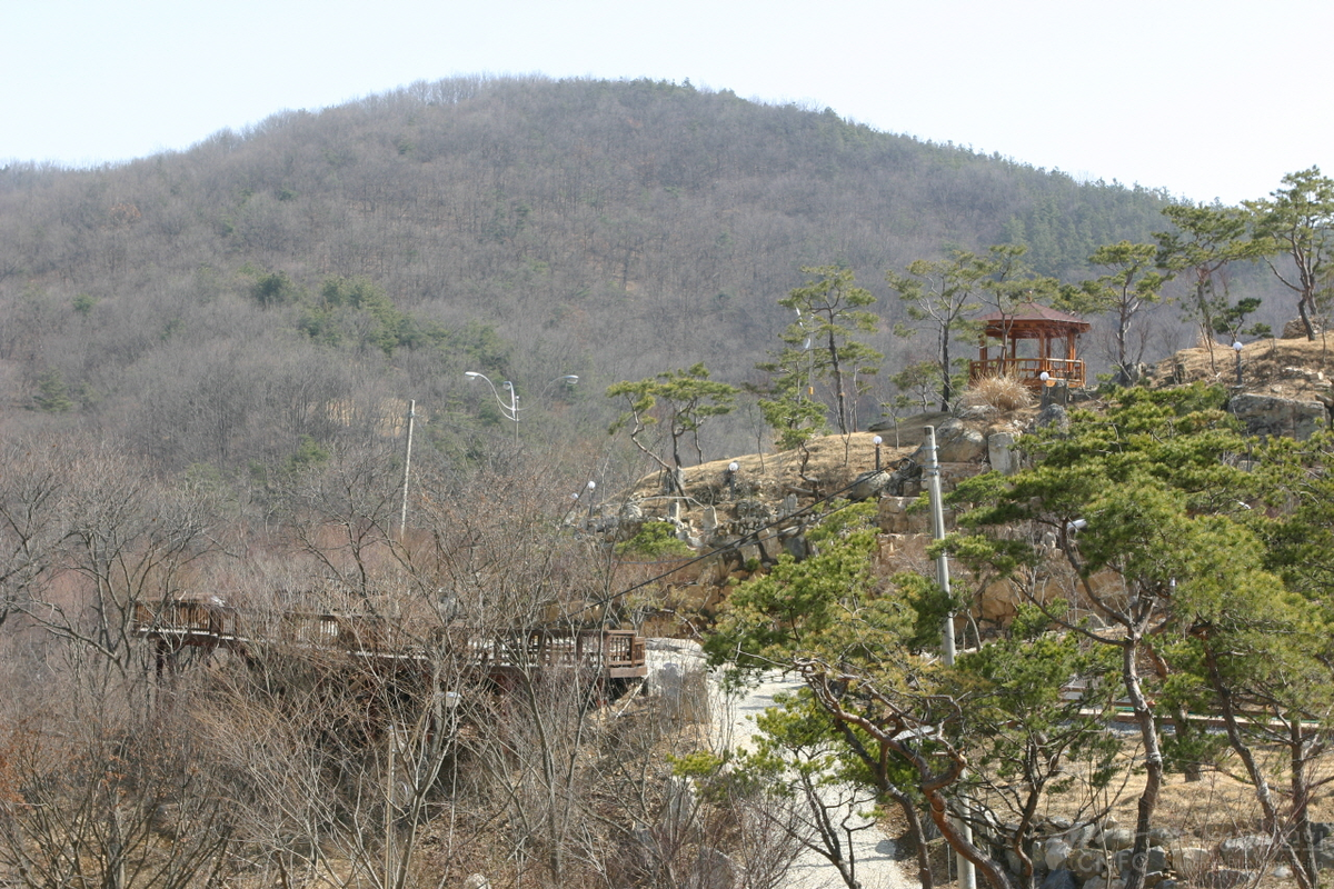 이안숲속