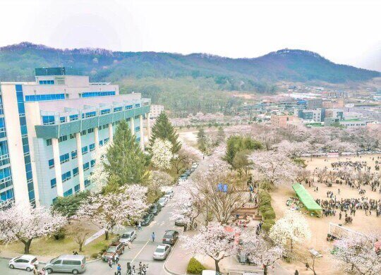 순천향대학교