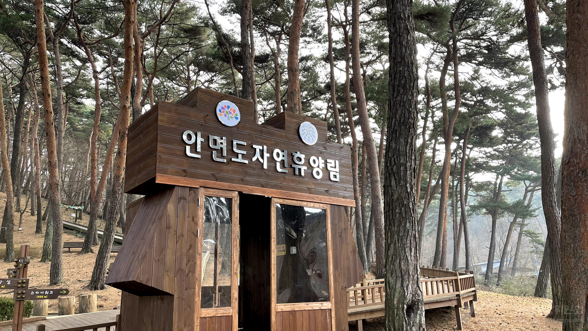 안면도자연휴양림