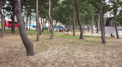 태안 몽산포오토캠핑장