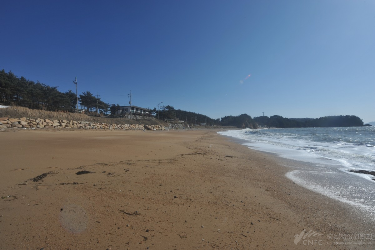 파도리 해수욕장