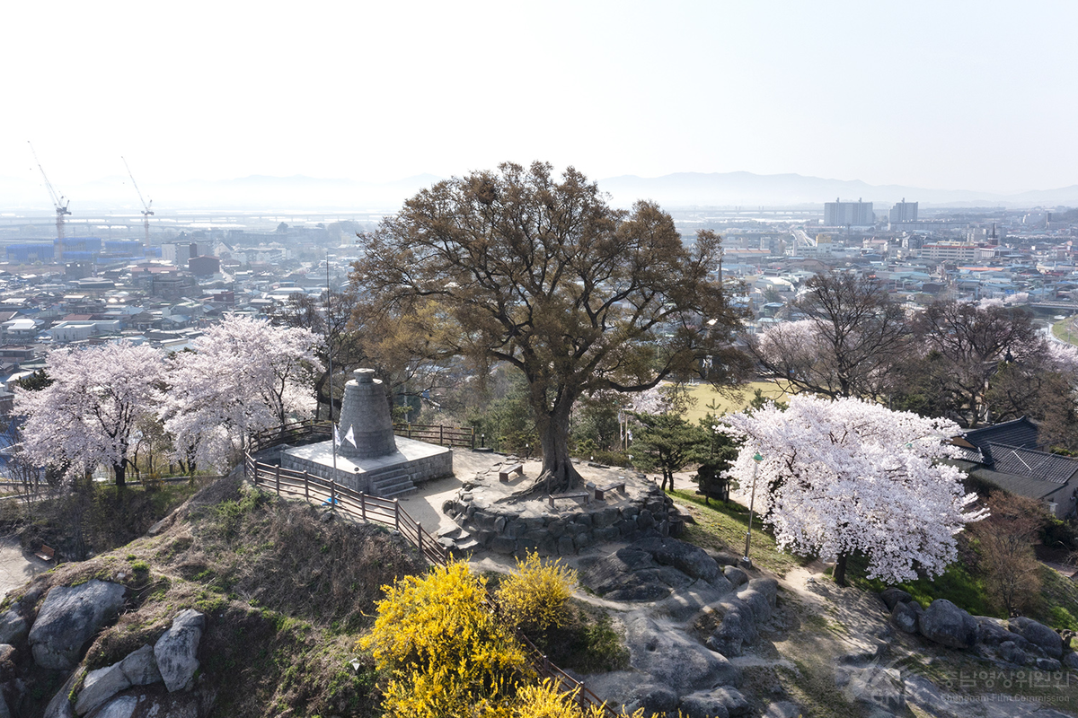 논산 옥녀봉