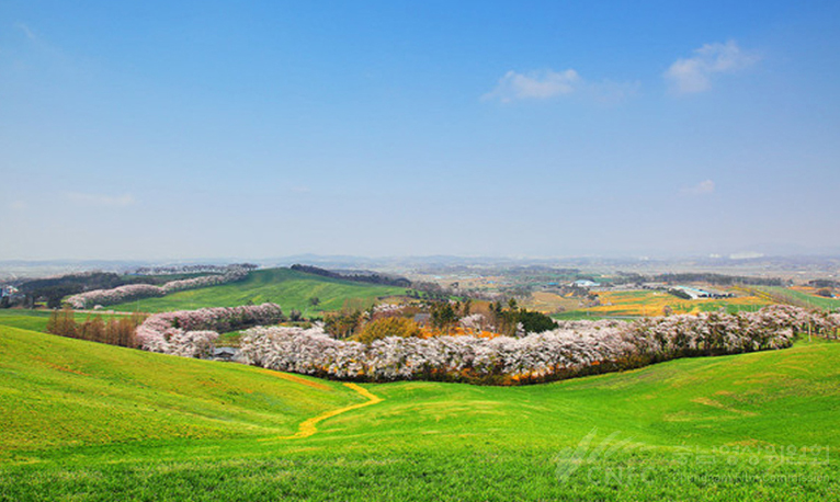 서산목장