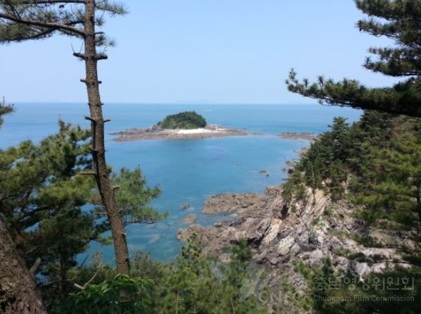 태안 솔향기길