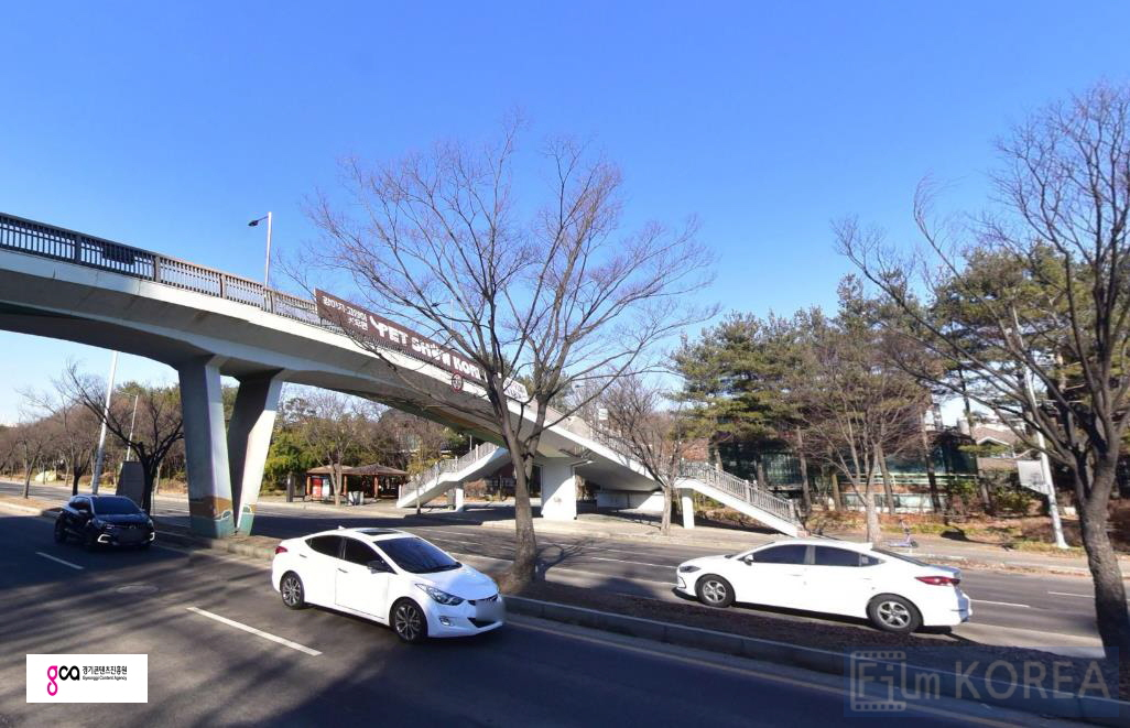 마두동 955-1 옆 육교