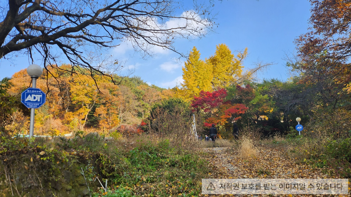 남양주 토지와 산